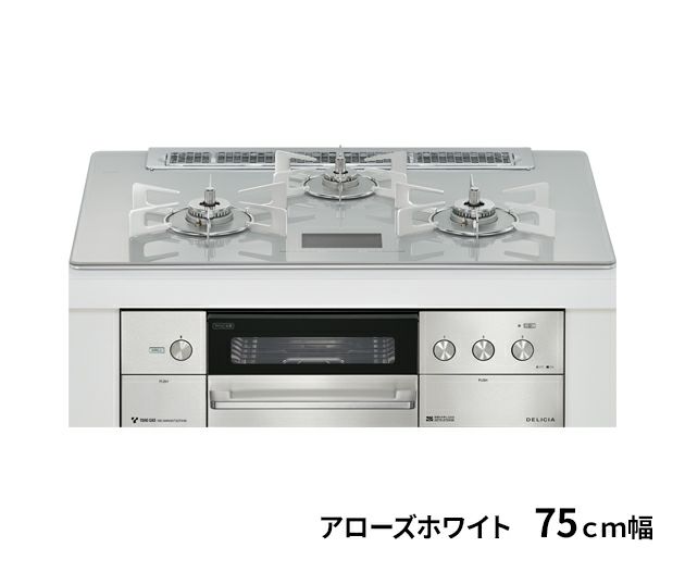 デリシア 100V電源タイプ東邦ガス（株）製RBC4WNGN85｜ビルトイン